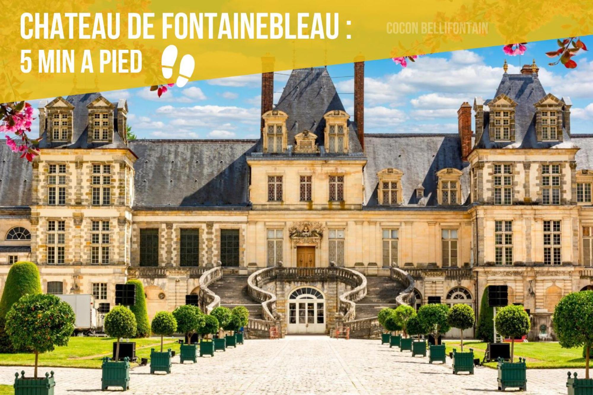 Le Cocon De Fontainebleau - Centre-Ville, Proche Insead & Chateau Exterior photo